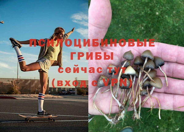 МДМА Алексеевка