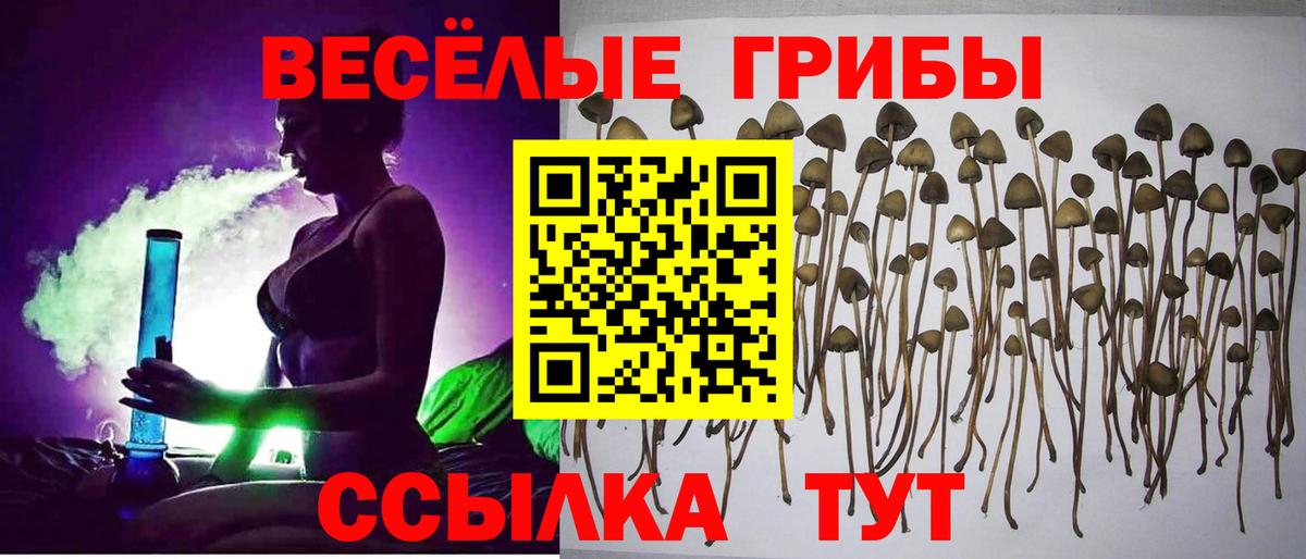 Псилоцибиновые грибы Magic Shrooms Астрахань